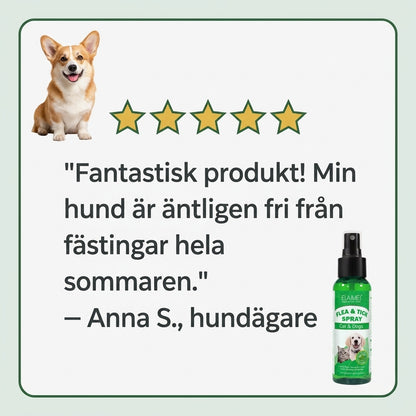 FästingBort™ - håll fästingarna borta hela säsongen